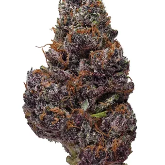Black Cherry Soda