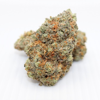 Ghost OG - HazeDelivery