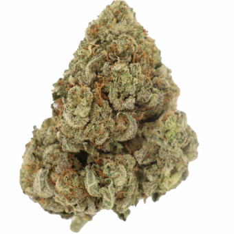 Violator Kush - Haze Delivery