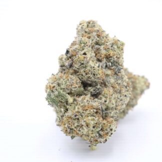 White Truffle