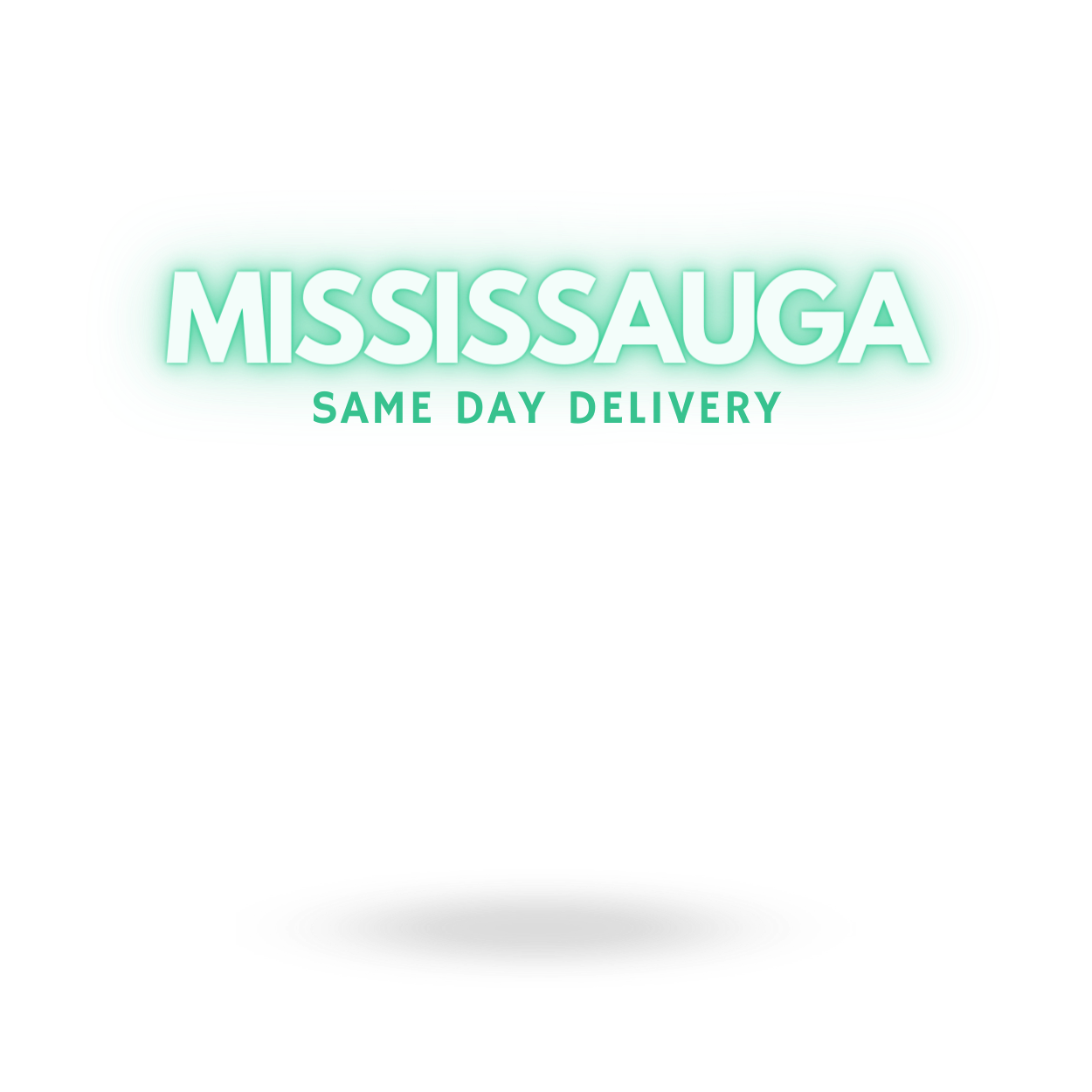 Mississauga-2