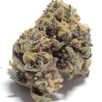 Gelato