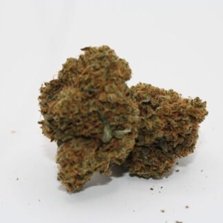 Gelato 1oz