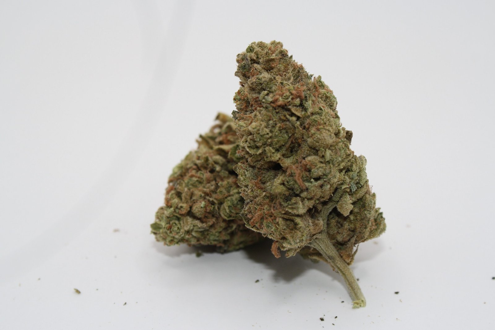 Golden Crisp 3x Pre-Roll - Image 2