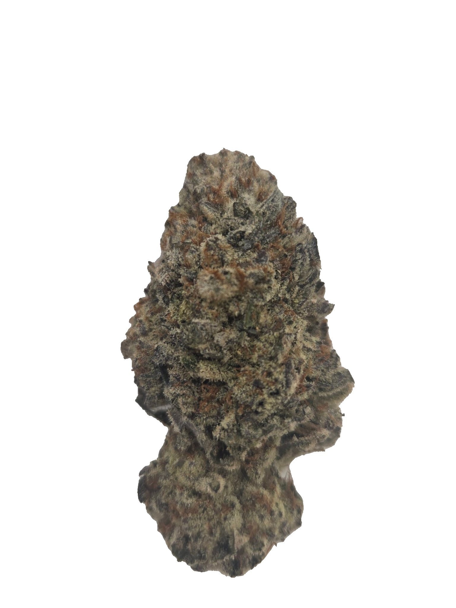 Purple God