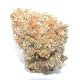 Orange Sherbert